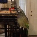 Allan Craft - @Allan_Craft1 - Twitter