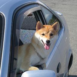 柴犬が好き。朝の散歩は欠かさずいってます。
柴犬はなのブログやってます。
土日は犬と行けるドッグカフェめぐり。

競技麻雀サークル一向聴所属。
http://t.co/KGFScOLQ