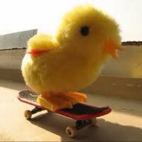 Roberto Fuentes Diaz (@rfuentes633) 's Twitter Profile