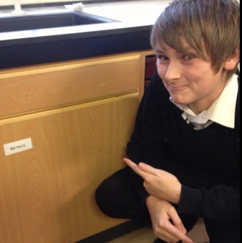 BestFRIENDOS's profile picture. jack