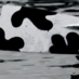 Middlebury Rowing (@middcrew) Twitter profile photo Middlebury Rowing (@middcrew) Twitter profile photo