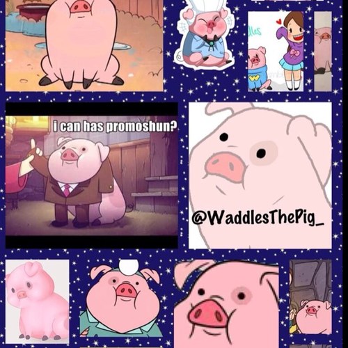 -oink- I'm the OFFICIAL Waddles The Pig from Gravity Falls. I love my owners, Dipper & Mabel! -oink- @UrbanXtremeCrew follows! -oink-