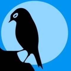 nixonglrut's profile picture. Exclusivo método de ensino Dual System, proporcionando maior aprendizado e valorizando o seu tempo. Rua Padre uarte, nº 2159 - Telefone: (16) 3214-5200