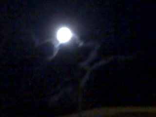 milelayyo's profile picture. 