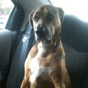 Jake Lyons - @JakeLyons954 - Twitter