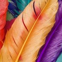 Melanie Tuttle - @Melvarooner - Twitter