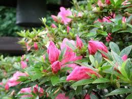 tbobarficee's profile picture. 只今新居を探し中?いいところないかなー(ノω｀)