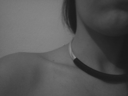 BorrarHistorial's profile picture. 