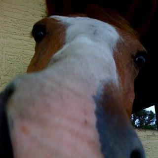 remingtonjt's profile picture. Im in love with my bed, were perfect for each other! But my alarm clock just doesnt seem to want us together!