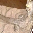 Aaron Rorie - @TheRealNumba2 - Twitter