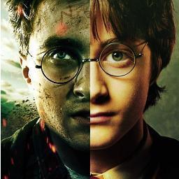 bharryov's profile picture. Where your Harry Potter books are, there will your heart be also. ✪ I walk around my lobster tank holding claws with @Evil_Dumbledore