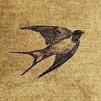 TheOnlyWayIsWilmslow (@towiwilmslow) 's Twitter Profile