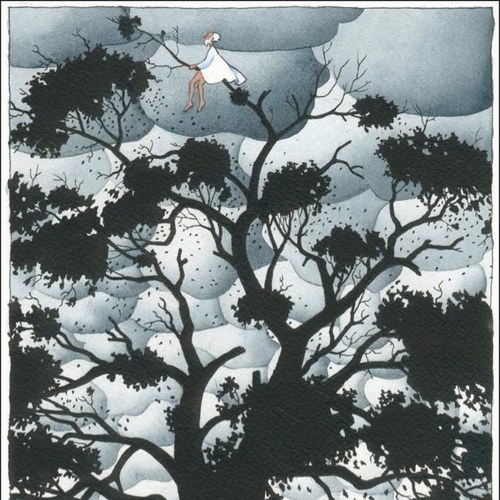 universalcanopy's profile picture. 