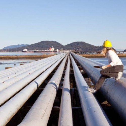 PipelineLaw's profile picture. @SteptoeLLP Leading #pipeline, @FERC, #PHMSA, #oil, #gas, #ngl, #lng, #energy, #openseason, and #pipelinesafety #law attorneys. (Hosted by @biztscott)