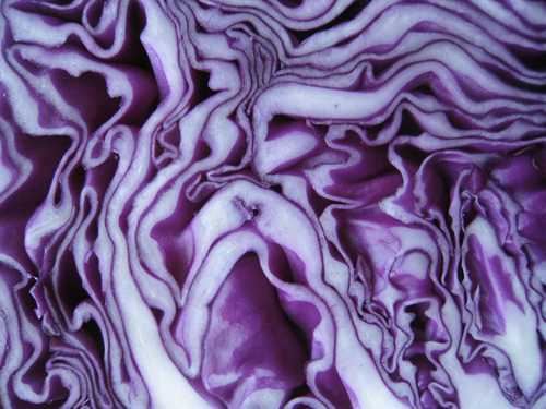 foodinhaiku's profile picture. Eating and drinking / one haiku tweet at a time / DM yours to play (No more autoretweet. DM, then I'll retweet.)