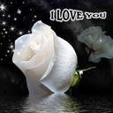 المحبه للخير (@1392_alward) Twitter