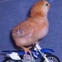 Ricky Tofer Schwartz - @RickySchwartz2 - Twitter