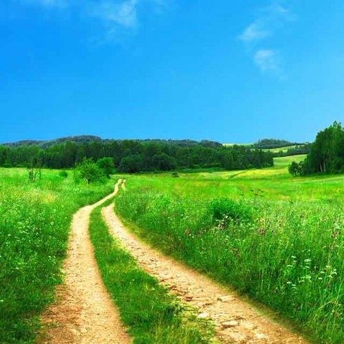 Real country music, simple way of life, rural ways, life thoughts #followback