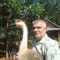 Murray Hunter (@dalastkimbasabi) 's Twitter Profile Photo Murray Hunter (@dalastkimbasabi) 's Twitter Profile Photo