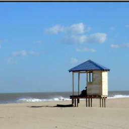 gusorue's profile picture. 