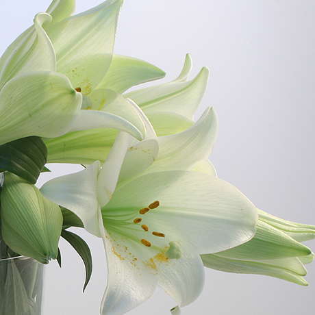 Evin05's profile picture. 