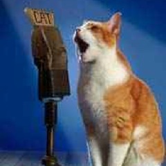 Acranemuse's profile picture. 