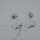 Dan Dillon - @nottheactual - Twitter