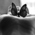Adela Sullivan - @linda_adela - Twitter