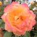 Arabelis (@lelicion) Twitter profile photo Arabelis (@lelicion) Twitter profile photo