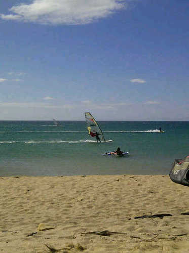 cedricdemusso's profile picture. 