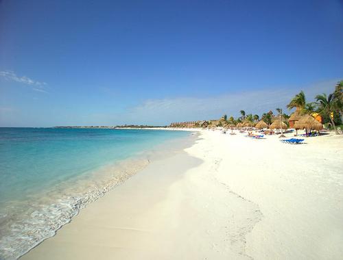 shelleykins1's profile picture. 