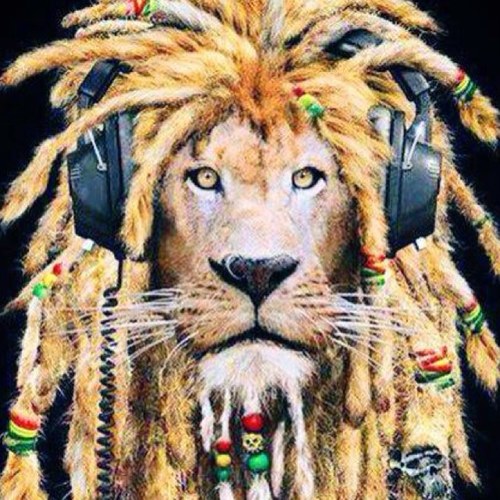 doctorherrerad's profile picture. 