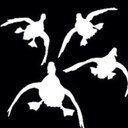 Jack Denault - @JackDenault514 - Twitter