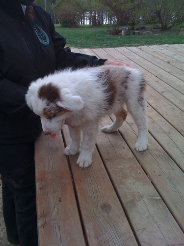 dkberg12's profile picture. 