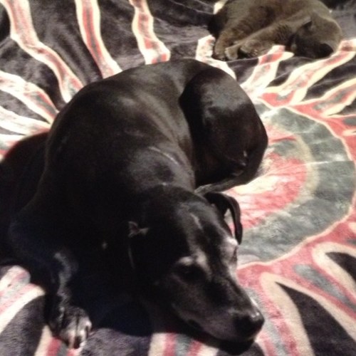 TSOmusic09's profile picture. Smile! and be happy!!! :P