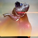 Gary Go - @garypvvr - Twitter