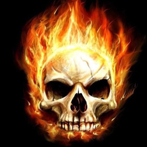 VanpeltDalton's profile picture. 