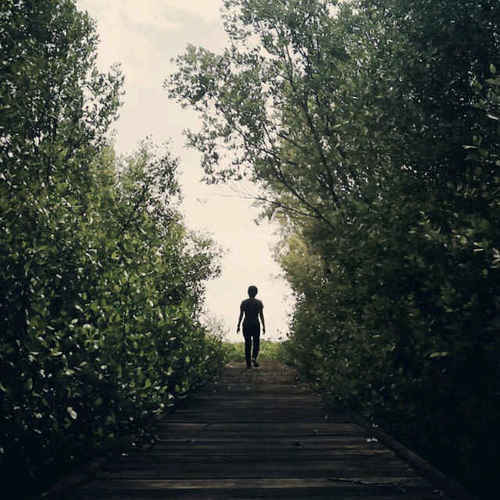 daughter | sister | friend | alien | cindy.chandri@yahoo.com |