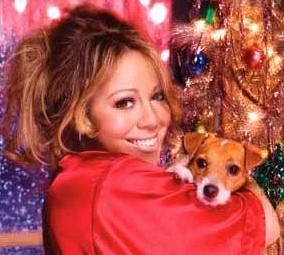Mariah Carey Brasil (Mariah Connection) is the biggest Mariah Carey website and fan club in Brazil with over 8 thousand members.