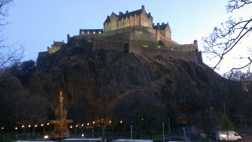 40hopdeer's profile picture. 