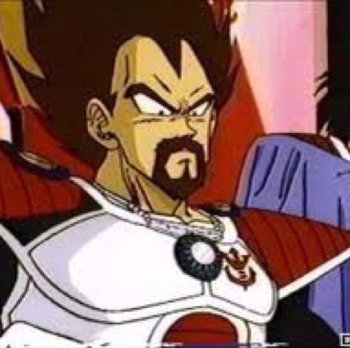 The incredibly powerful king of Planet Vegeta. |Son: @YoungKidVegeta and Tarble.