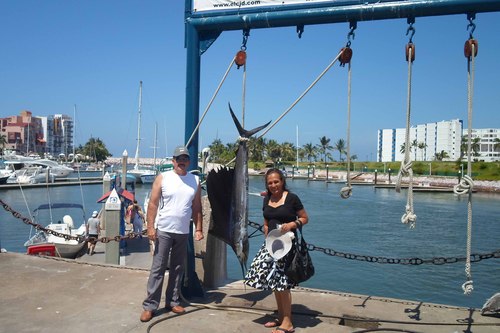 mvzjlmm's profile picture. 