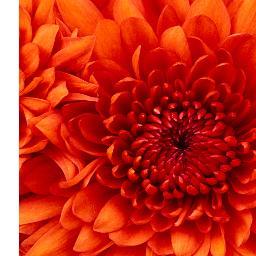 ranashahzad7775's profile picture. nnnnnnnnnnnnnnnnnnnnnnnn