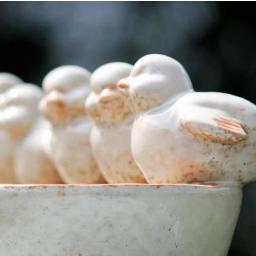 soylattegirl's profile picture. 