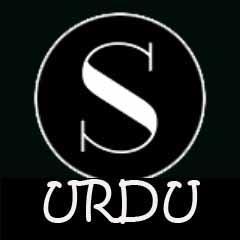 A 24 hours Urdu Music/News Radio available from November, 2014.