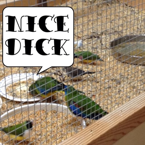 tinymeasures's profile picture. i am forgetful