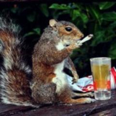 Sworn enemy of @digthedog1, commander of the squirrel legions, and I will have my fat balls in this life or the next.