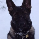 vicky waller - @pbug71 - Twitter