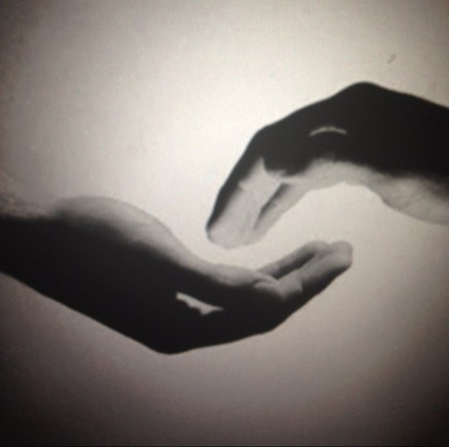 Alina_daa's profile picture. 