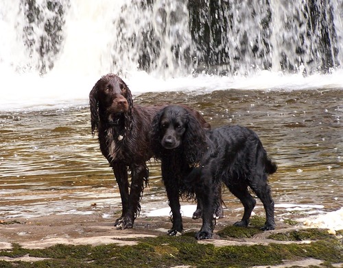 julesa14296's profile picture. 